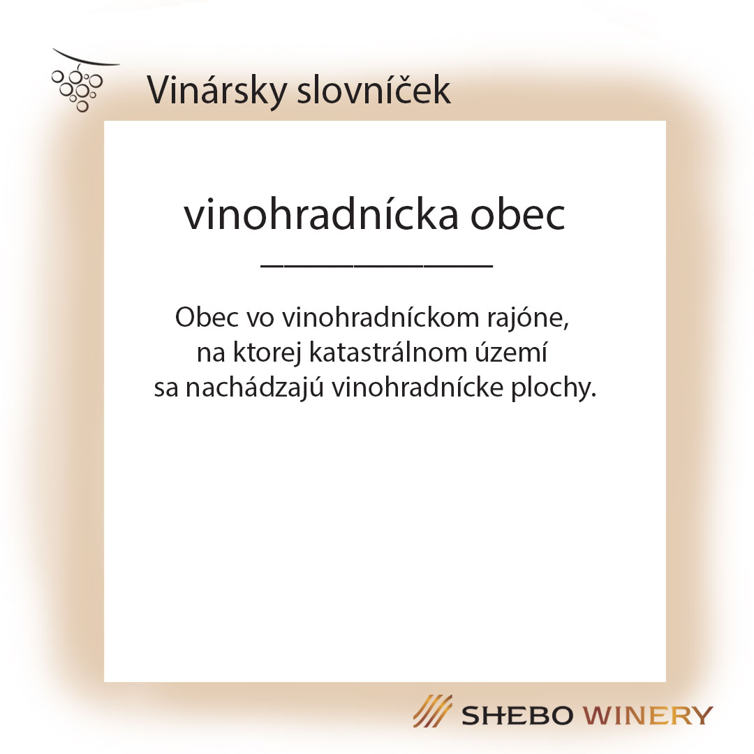 Víno Nitra - slide 4
