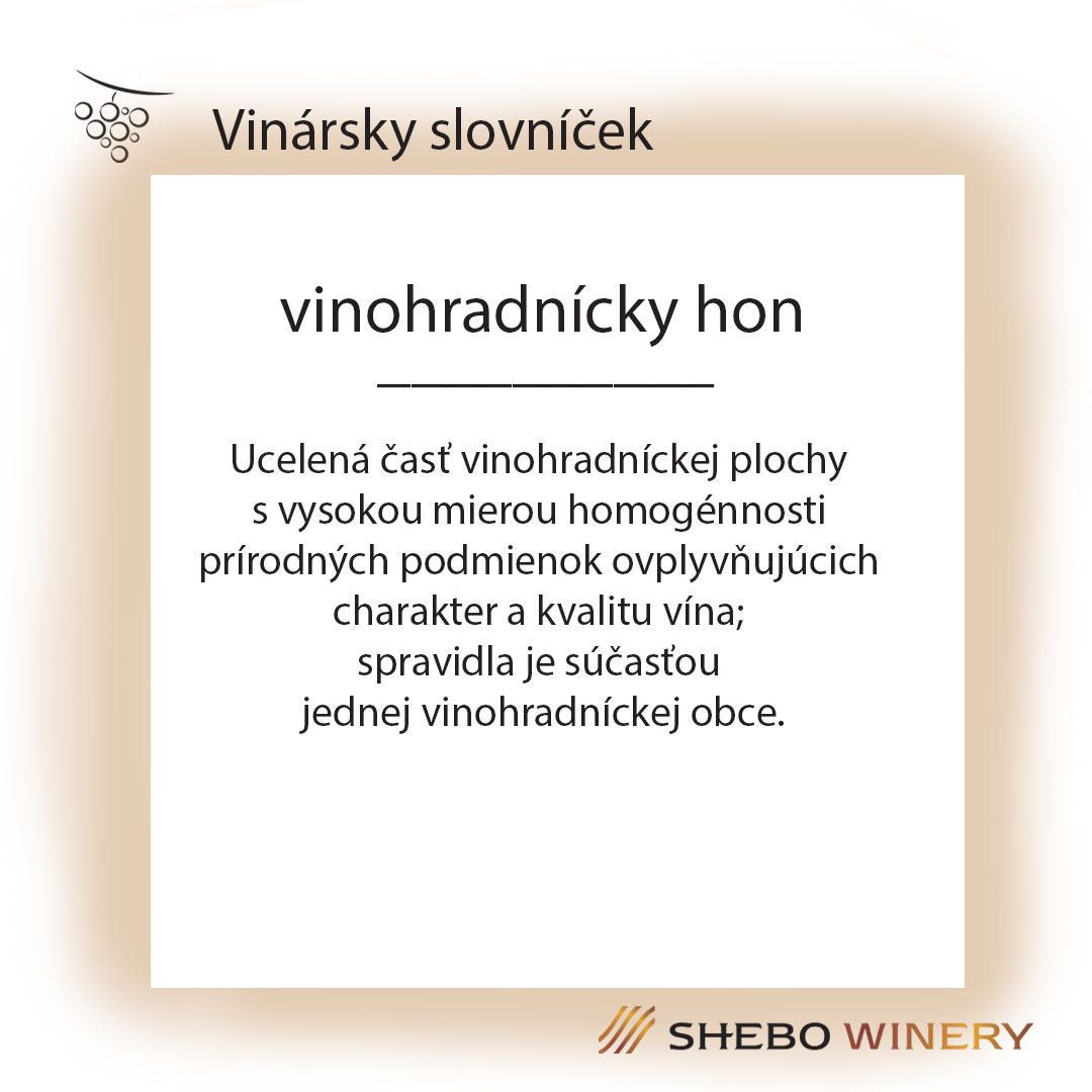Víno Nitra - slide 5