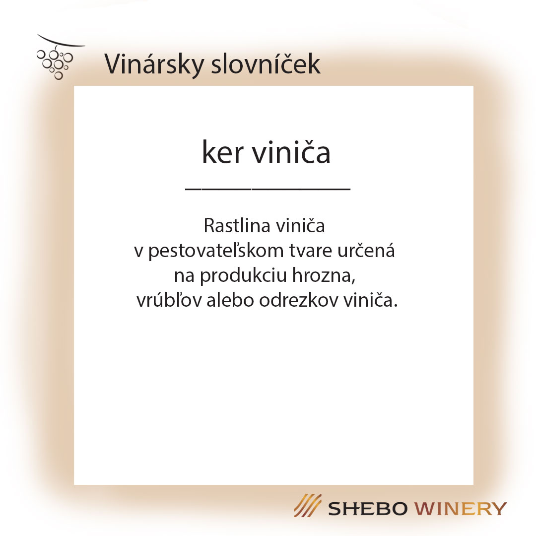 Ďalšie úspechy Shebo Winery vo Viedni. - slide 6