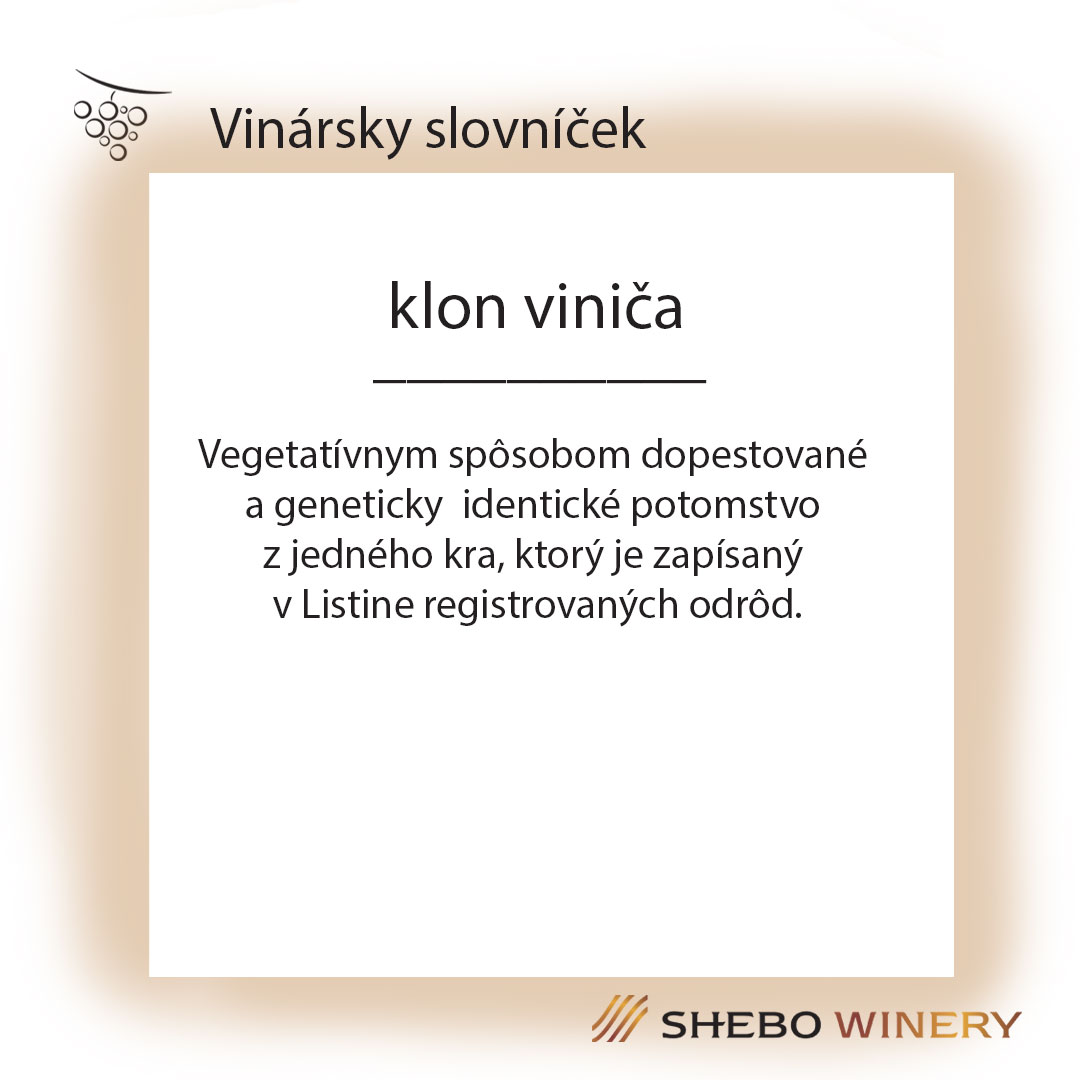 Víno - slide 7